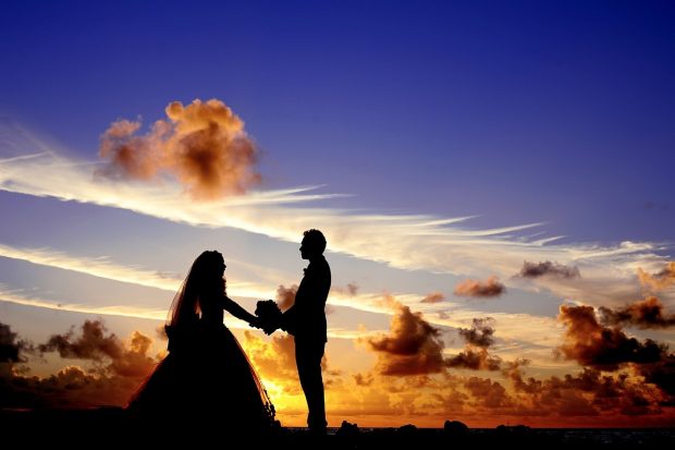 Wedding Wedding