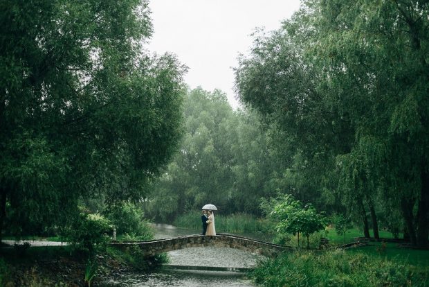 Illustration af Wedding, Tree