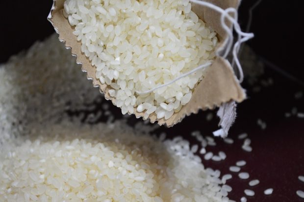 Illustration af Rice,