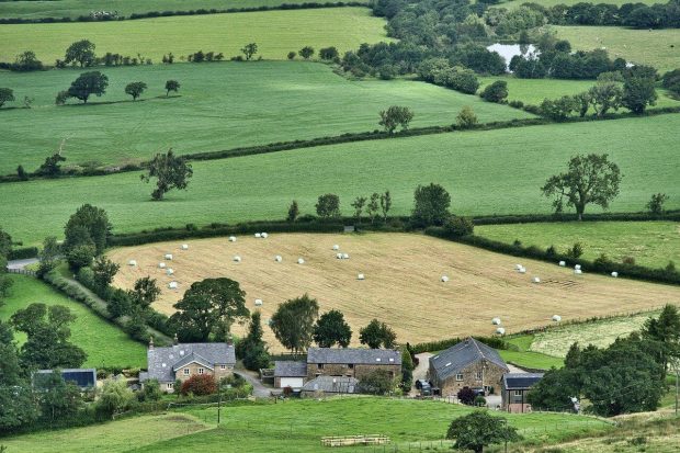 Farming